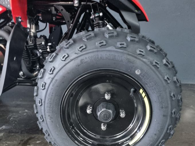 CF MOTO CFORCE 110 basic 4