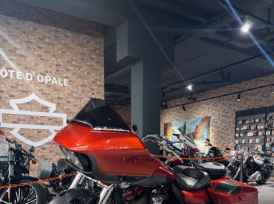 HARLEY-DAVIDSON TOURING ROAD GLIDE 1977 CVO - 2018