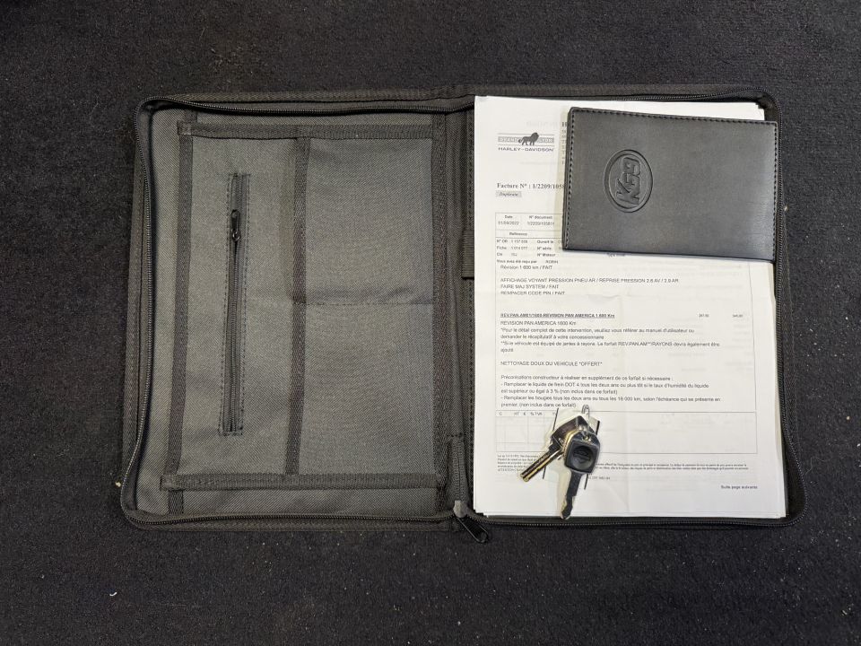 HARLEY-DAVIDSON ADVENTURE PAN AMERICA 1250 SPECIAL 4