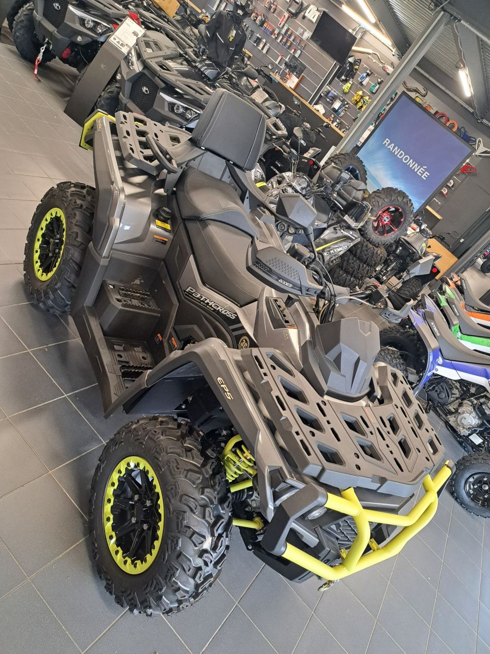 AODES PATHCROSS 650 MAX XTX 4