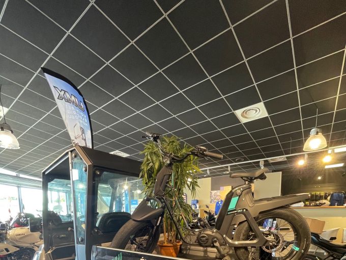 YAMAHA UMX HOMOLOGUE 4