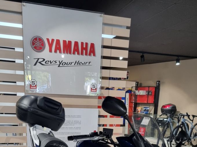 YAMAHA XJ 6  S DIVERSION 4
