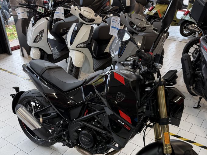 PEUGEOT Peugeot pm-03 300 cc 4