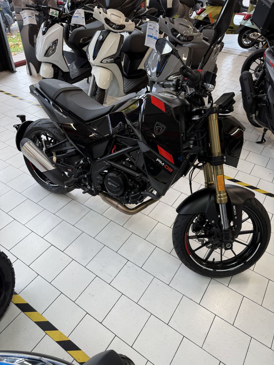 PEUGEOT Peugeot pm-03 300 cc 4