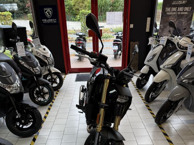PEUGEOT Peugeot pm-03 300 cc 4