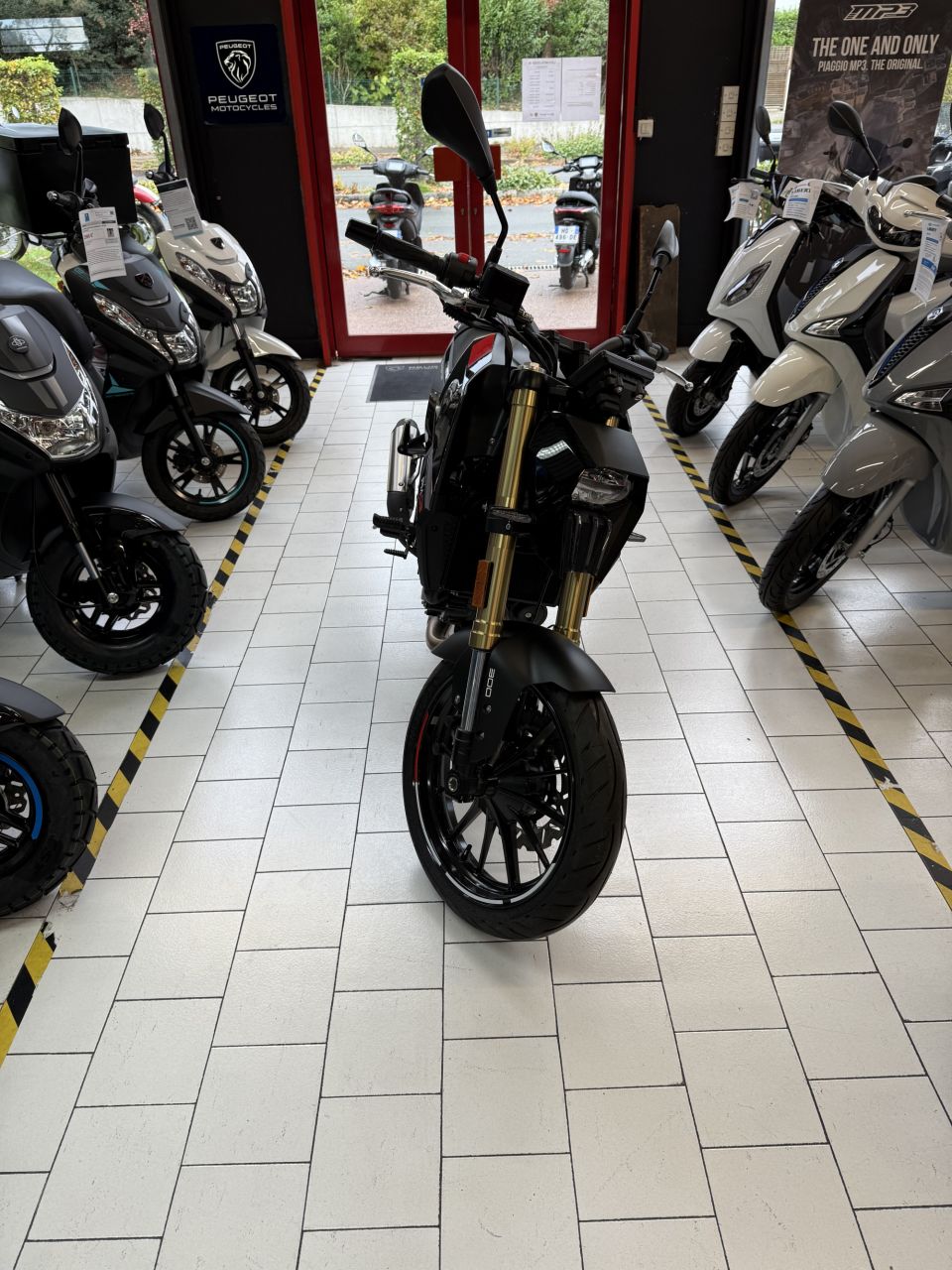 PEUGEOT Peugeot pm-03 300 cc 4