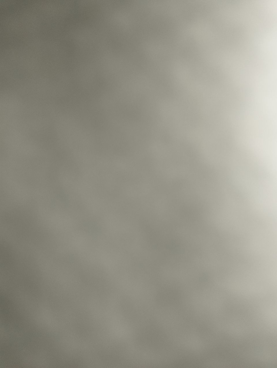 CAN-AM 570 MAX EFI 4