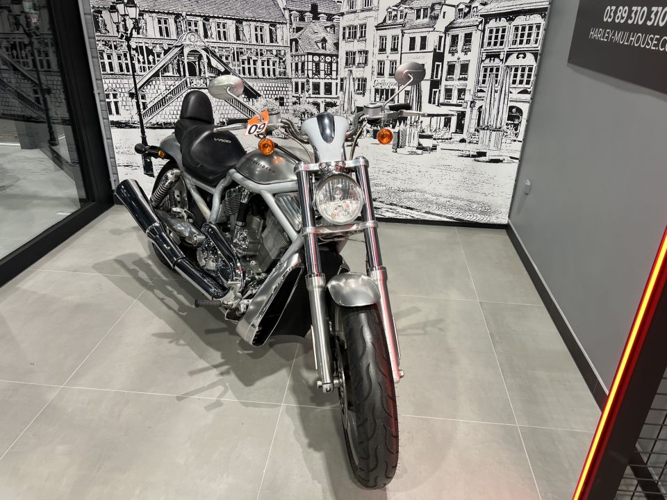 HARLEY-DAVIDSON V-ROD 1130 ALUMINIUM 4