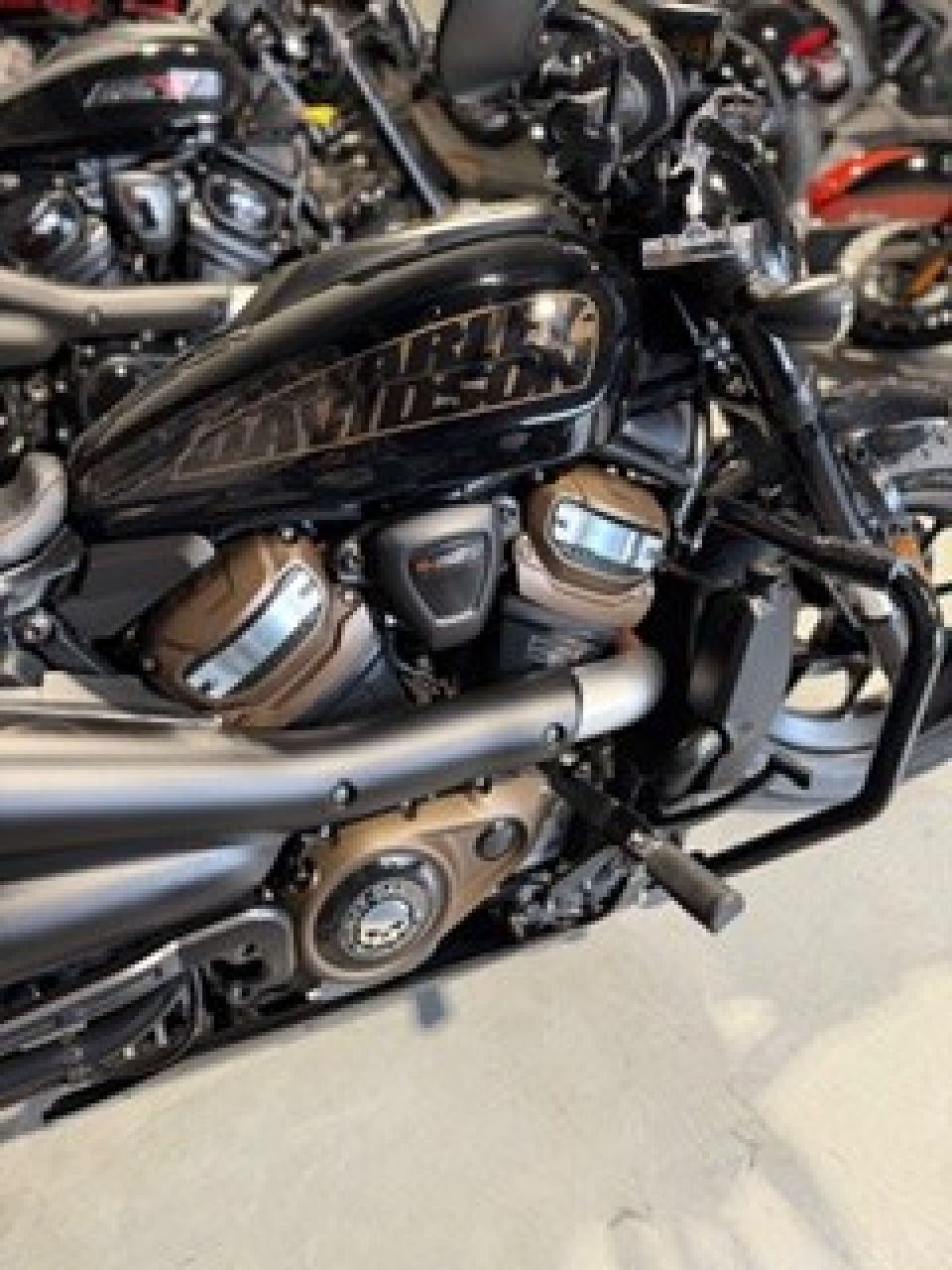 HARLEY-DAVIDSON SPORTSTER 1250 S 4