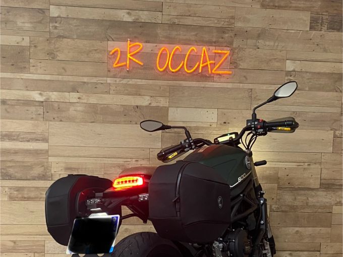 BENELLI LEONCINO 800 4