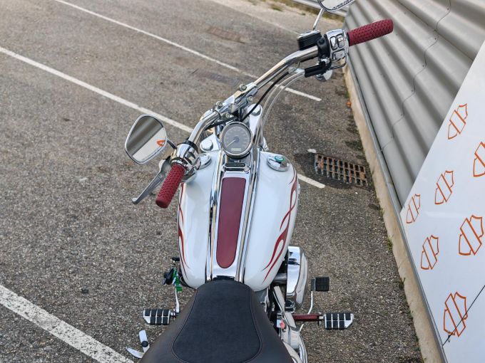 HARLEY-DAVIDSON SOFTAIL ROCKER 1584 C 4