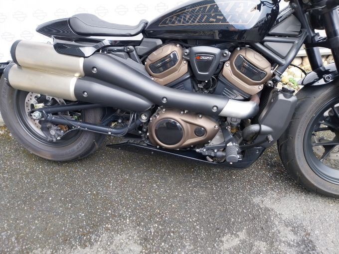 HARLEY-DAVIDSON SPORTSTER 1250 S 4