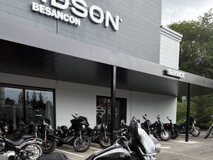 HARLEY-DAVIDSON TOURING ELECTRA 1690 ULTRA LIMITED 4