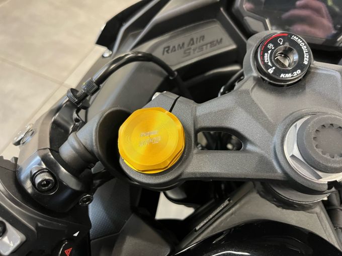 KAWASAKI Ninja ZX-4R 4