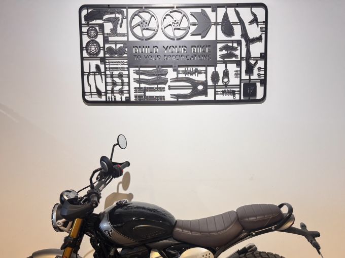 TRIUMPH Scrambler 400 X 4