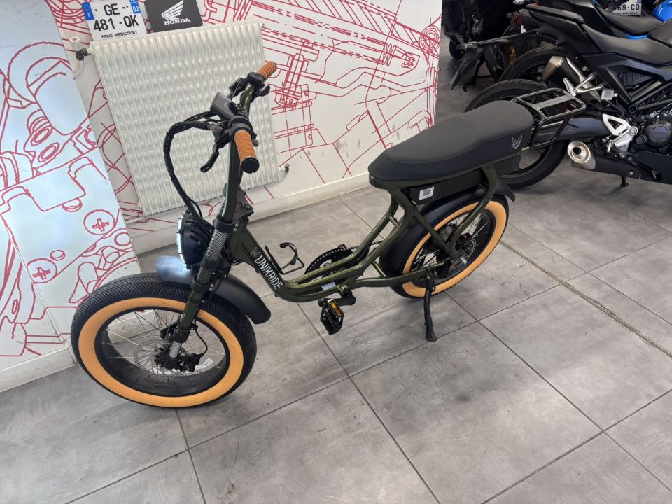 UNIKRIDE Cargo Biplace Fatstreet 4