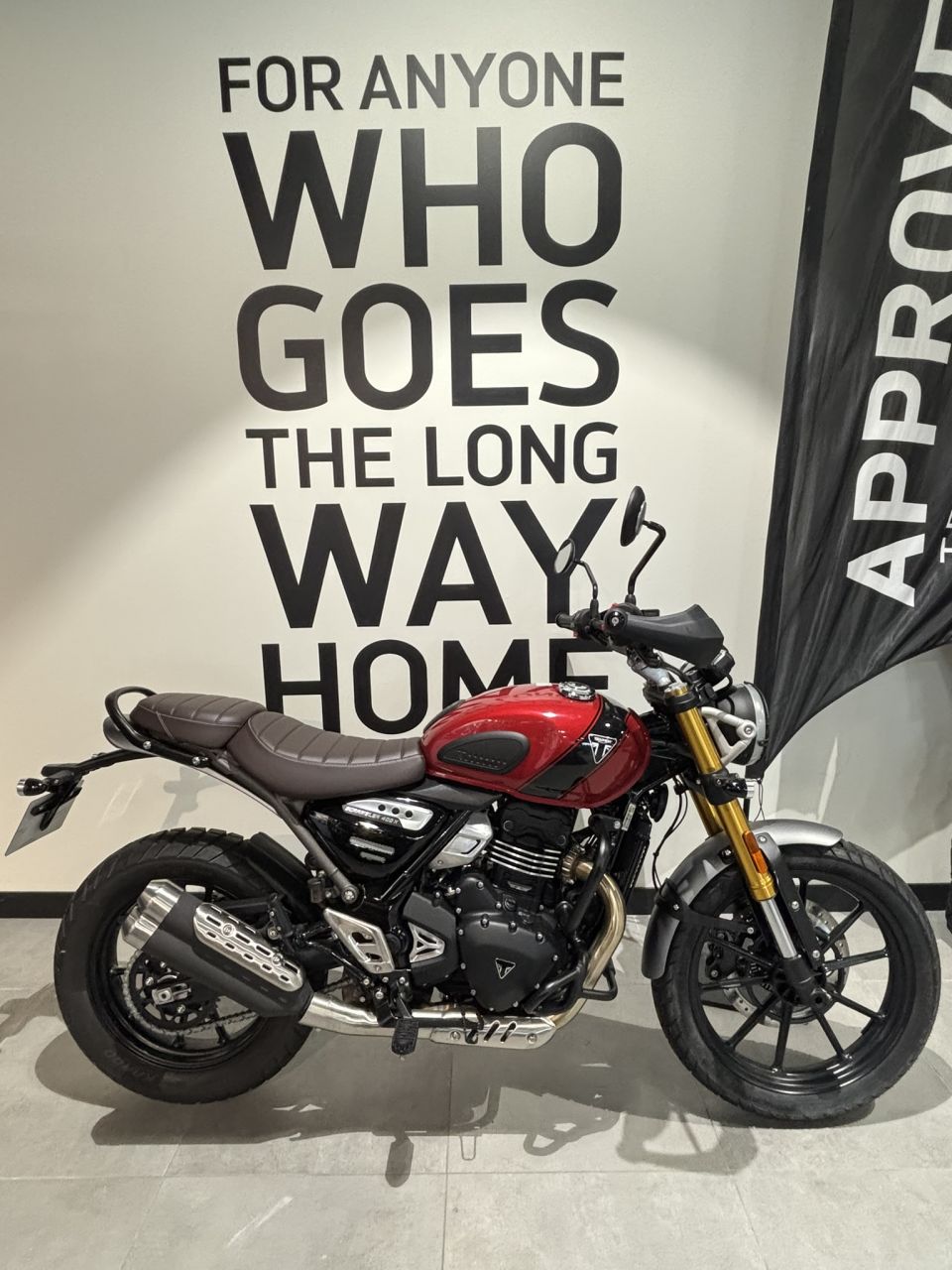 TRIUMPH Scrambler 400 X 4