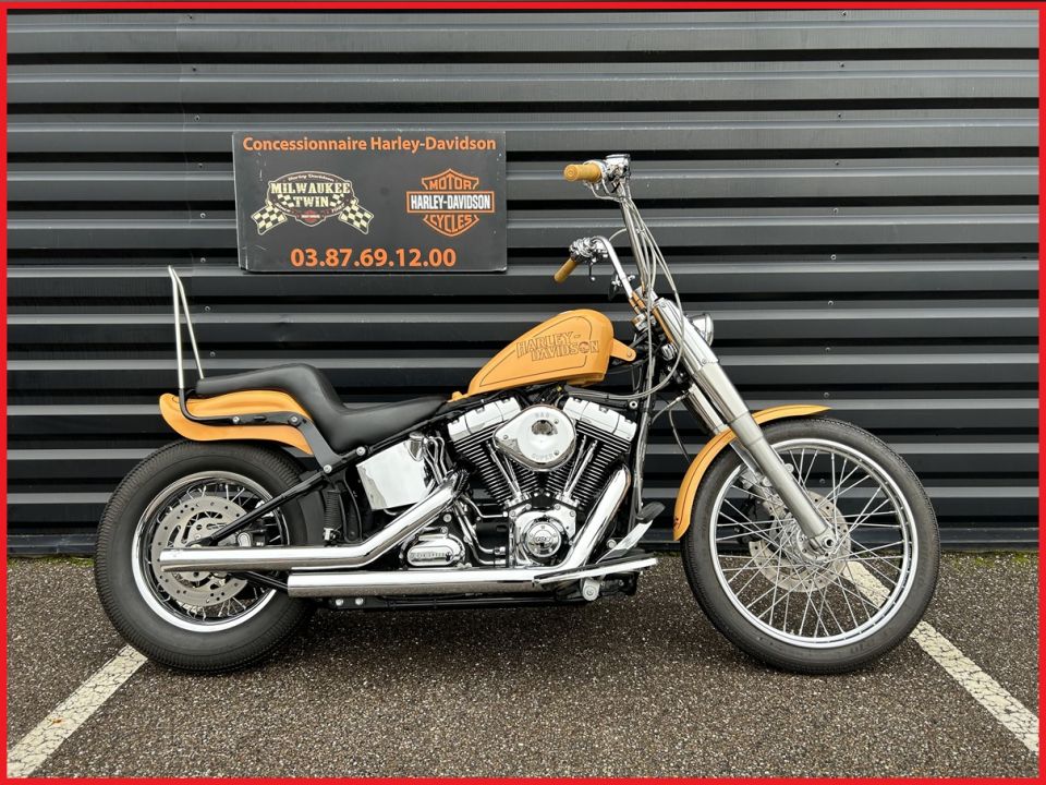 HARLEY-DAVIDSON SOFTAIL FAT BOY 1690 4