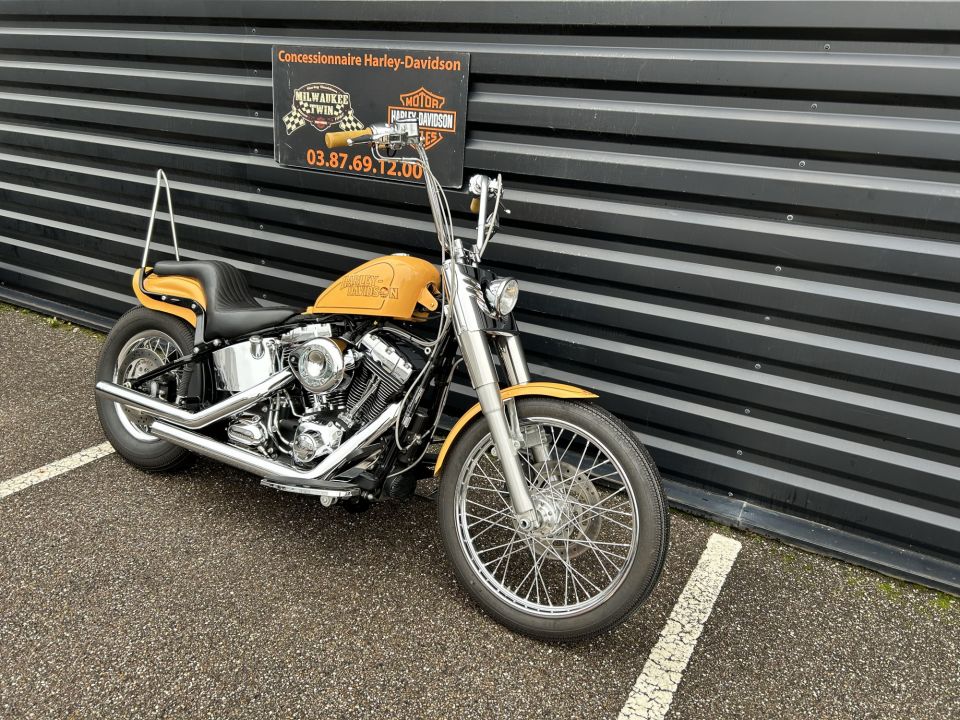 HARLEY-DAVIDSON SOFTAIL FAT BOY 1690 4