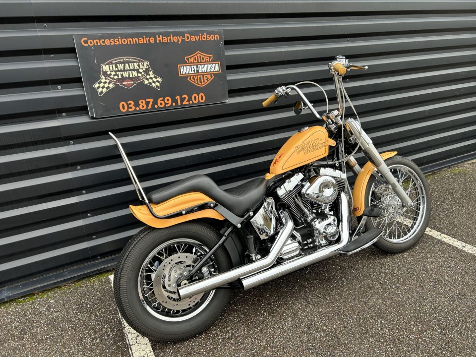 HARLEY-DAVIDSON SOFTAIL FAT BOY 1690 4