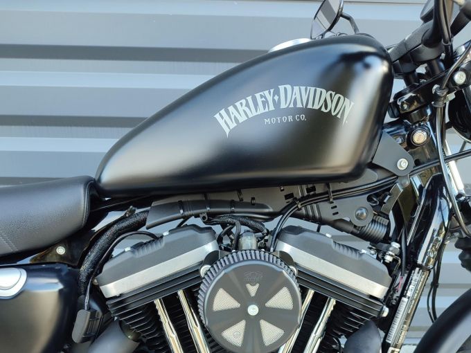 HARLEY-DAVIDSON SPORTSTER IRON 883 4