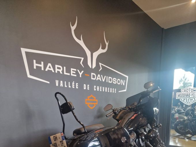 HARLEY-DAVIDSON SOFTAIL LOW RIDER 1923 ST 4