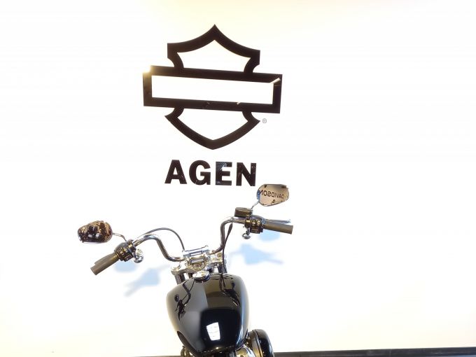 HARLEY-DAVIDSON SOFTAIL STANDARD 1745 4