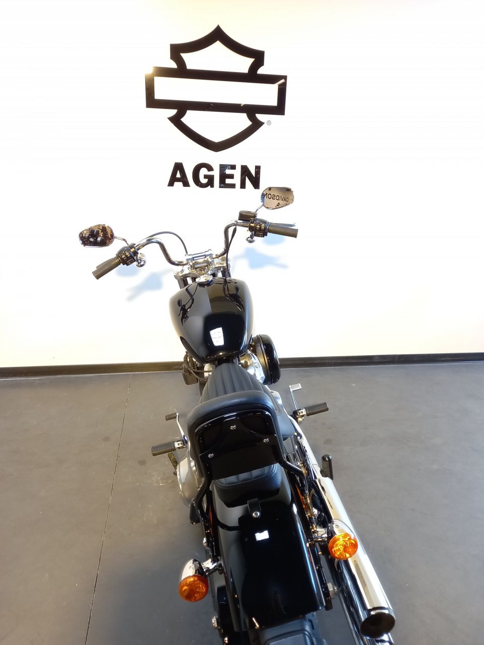 HARLEY-DAVIDSON SOFTAIL STANDARD 1745 4