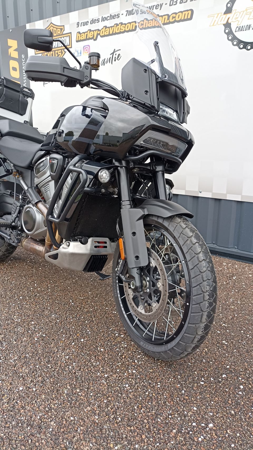 HARLEY-DAVIDSON ADVENTURE PAN AMERICA 1250 SPECIAL 4