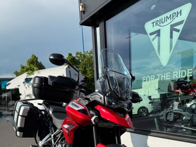 TRIUMPH Tiger 900 GT PRO 4