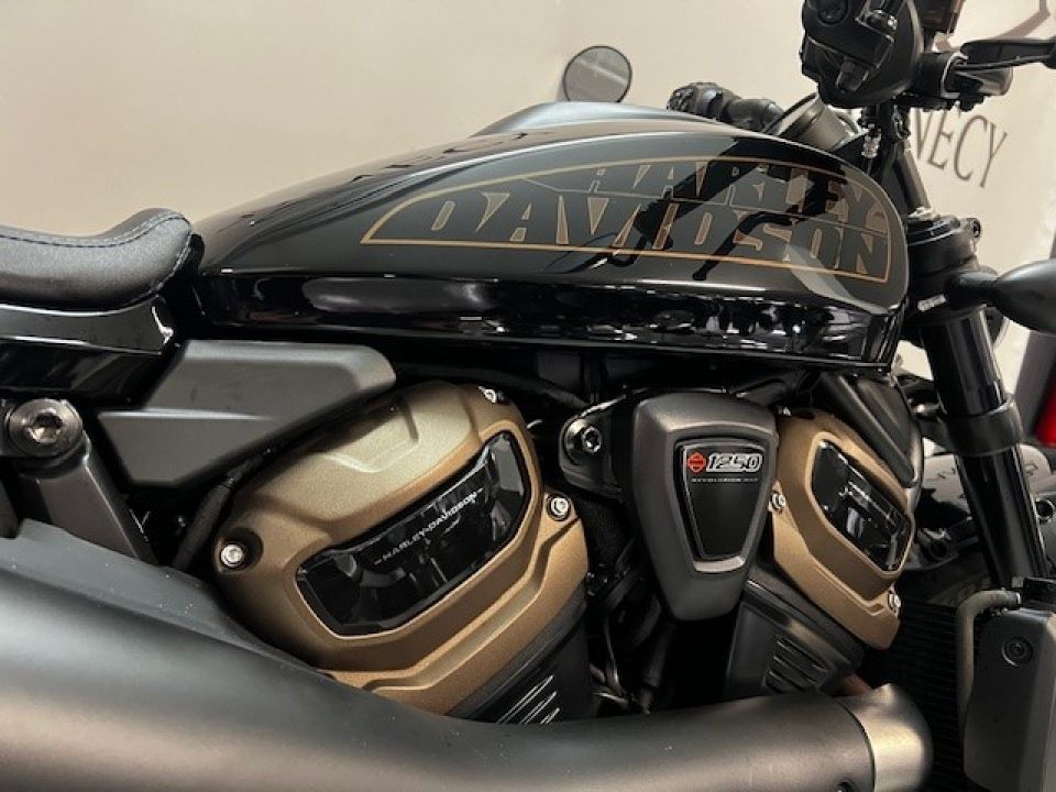 HARLEY-DAVIDSON SPORTSTER 1250 S 4