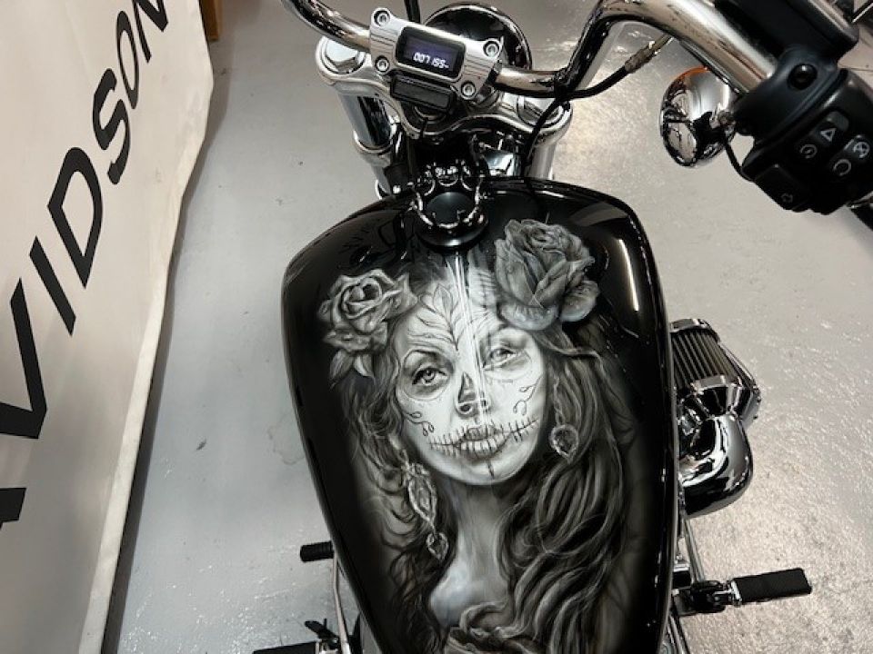 HARLEY-DAVIDSON SOFTAIL STANDARD 1745 4