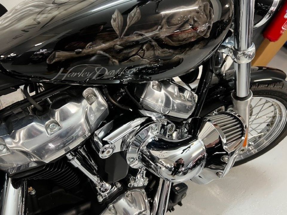 HARLEY-DAVIDSON SOFTAIL STANDARD 1745 4