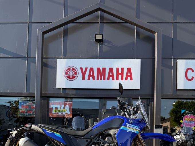 YAMAHA XTZ TENERE 700 Extreme 4