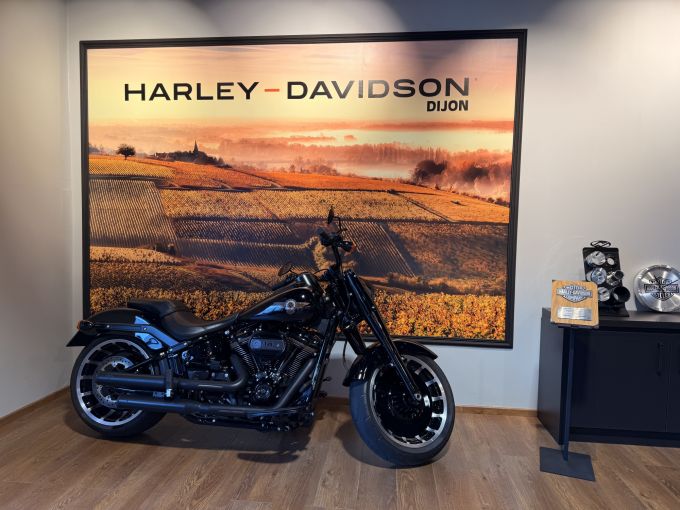 HARLEY-DAVIDSON SOFTAIL FAT BOY 1868 4