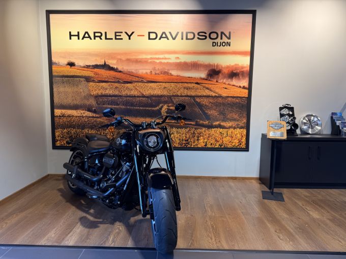 HARLEY-DAVIDSON SOFTAIL FAT BOY 1868 4