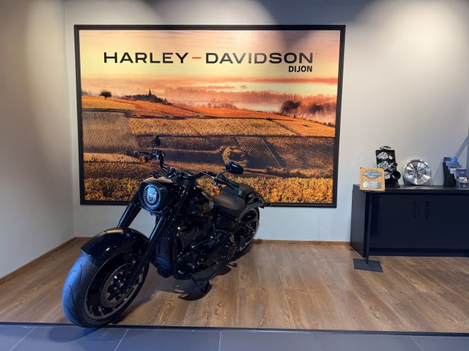 HARLEY-DAVIDSON SOFTAIL FAT BOY 1868 4