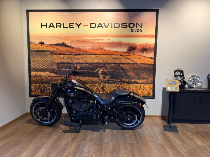HARLEY-DAVIDSON SOFTAIL FAT BOY 1868 4