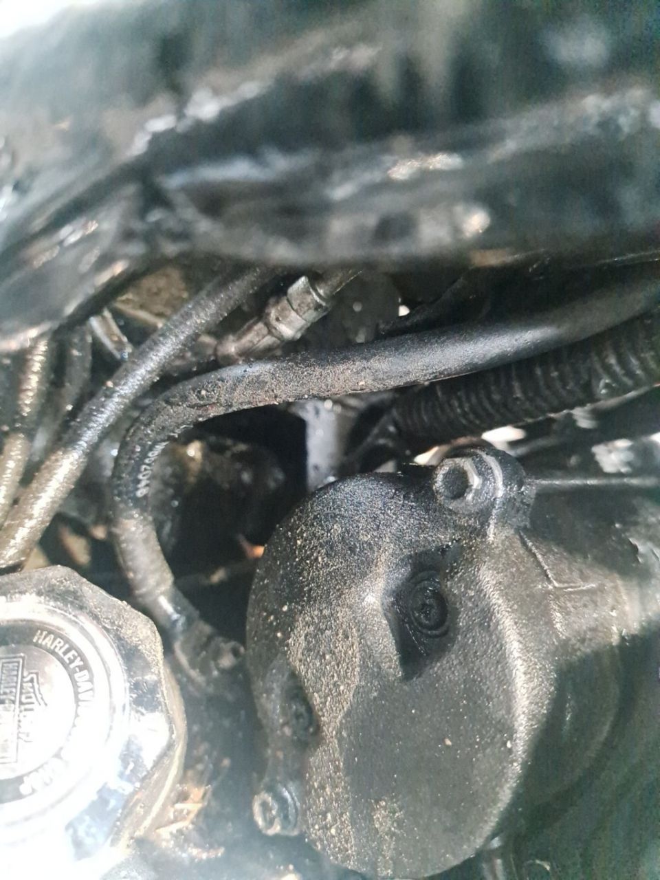 HARLEY-DAVIDSON TOURING STREET GLIDE 1800 CVO 4