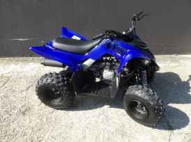 YAMAHA YFM RAPTOR 110 - 2025