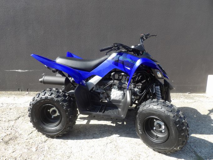 YAMAHA YFM RAPTOR 110 4