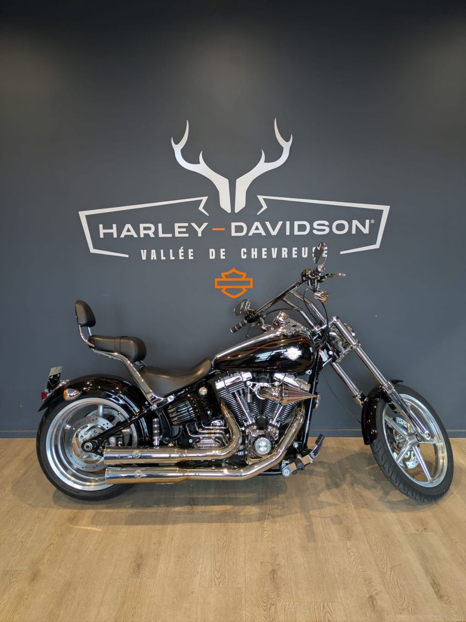 HARLEY-DAVIDSON SOFTAIL ROCKER 1584 C 4