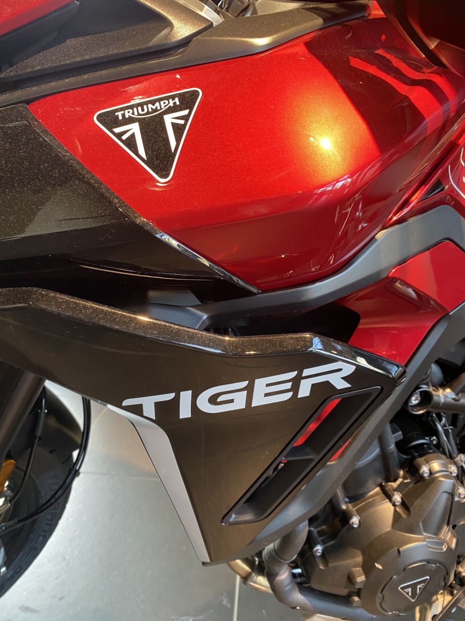 TRIUMPH Tiger 900 GT PRO 4