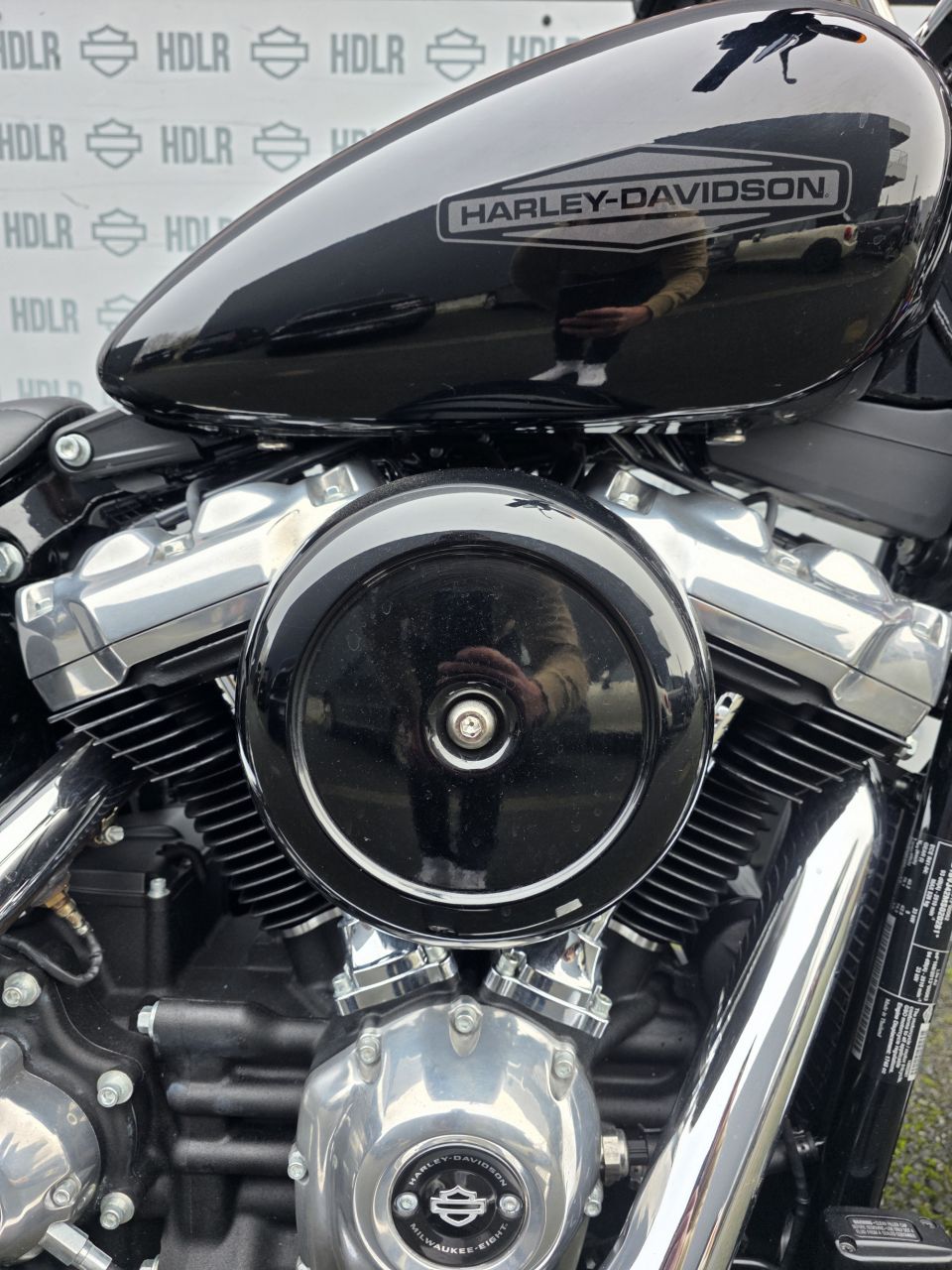 HARLEY-DAVIDSON SOFTAIL STANDARD 1745 4