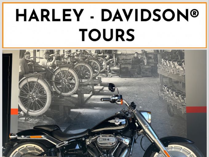 HARLEY-DAVIDSON SOFTAIL FAT BOY 1868 4