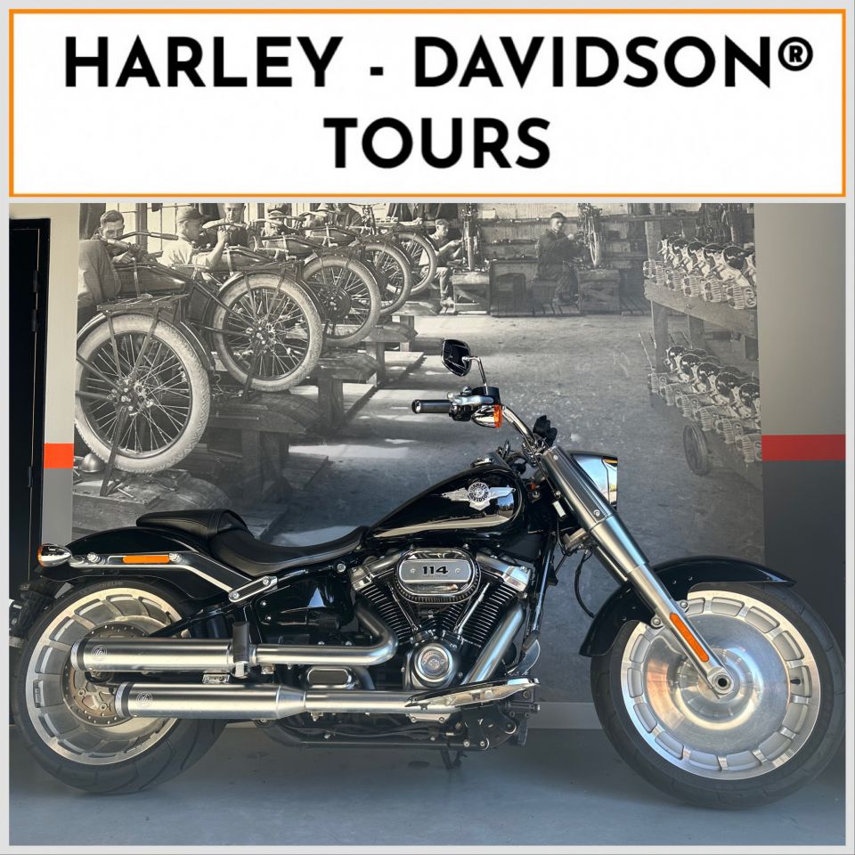 HARLEY-DAVIDSON SOFTAIL FAT BOY 1868 4