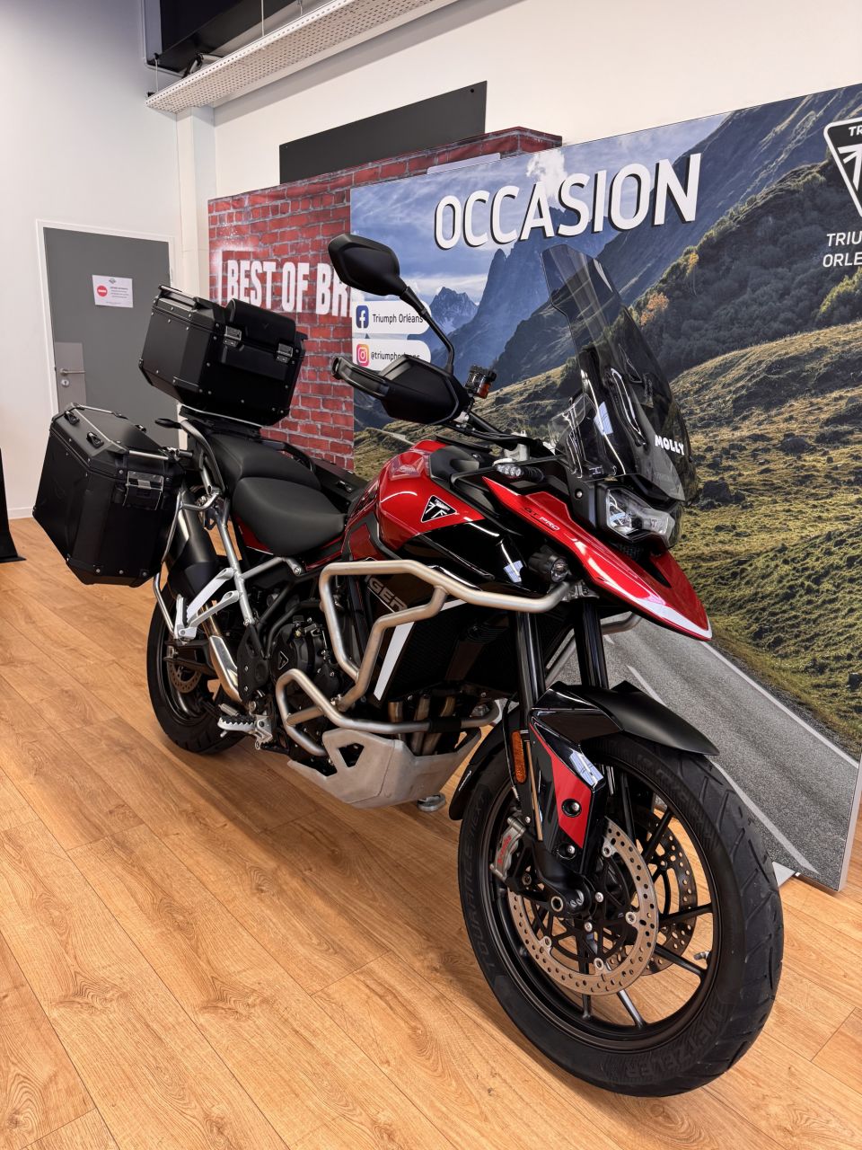 TRIUMPH Tiger 900 GT PRO 4