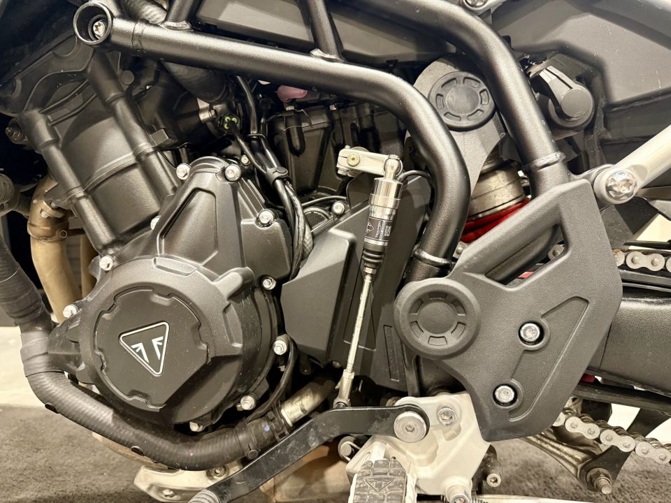 TRIUMPH Tiger 900 GT PRO 4