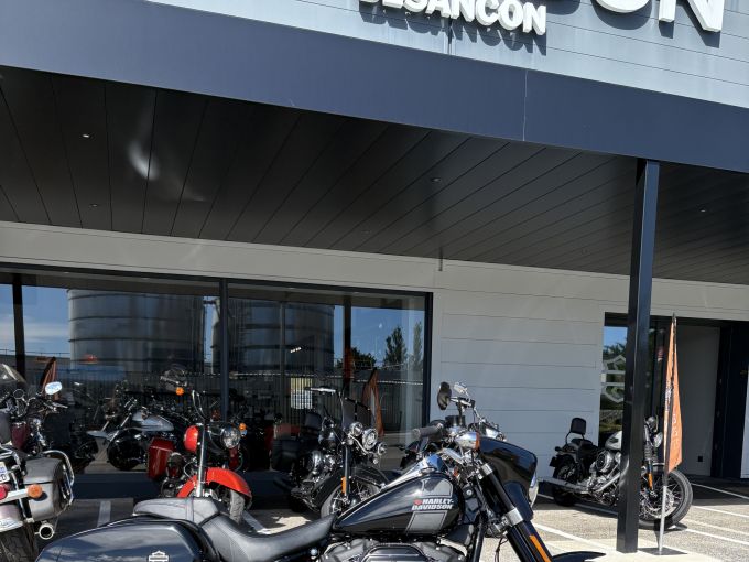 HARLEY-DAVIDSON SOFTAIL SPORT GLIDE 1745 4