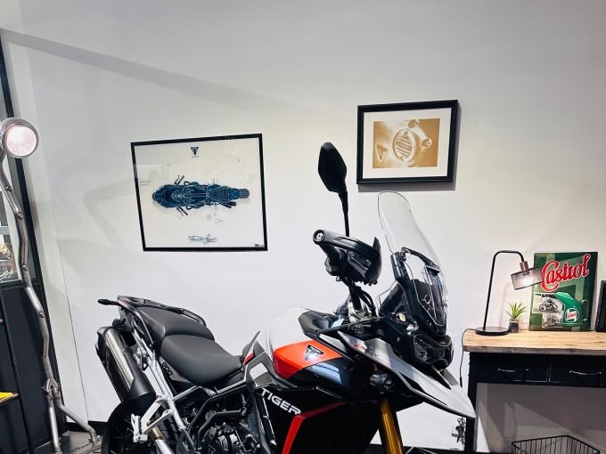 TRIUMPH TIGER 900 RALLY PRO 4